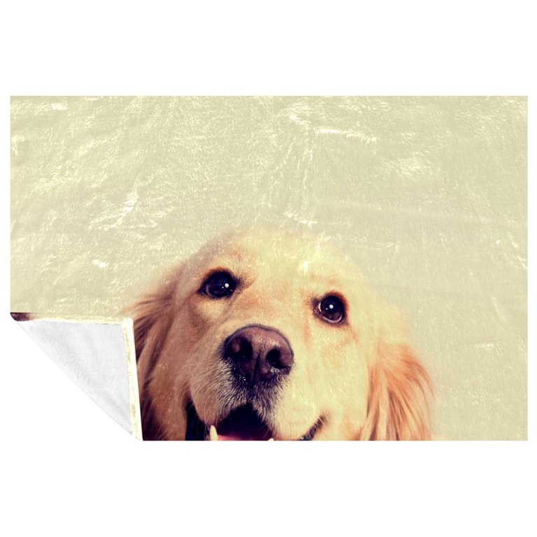 Golden retriever 2025 blanket walmart