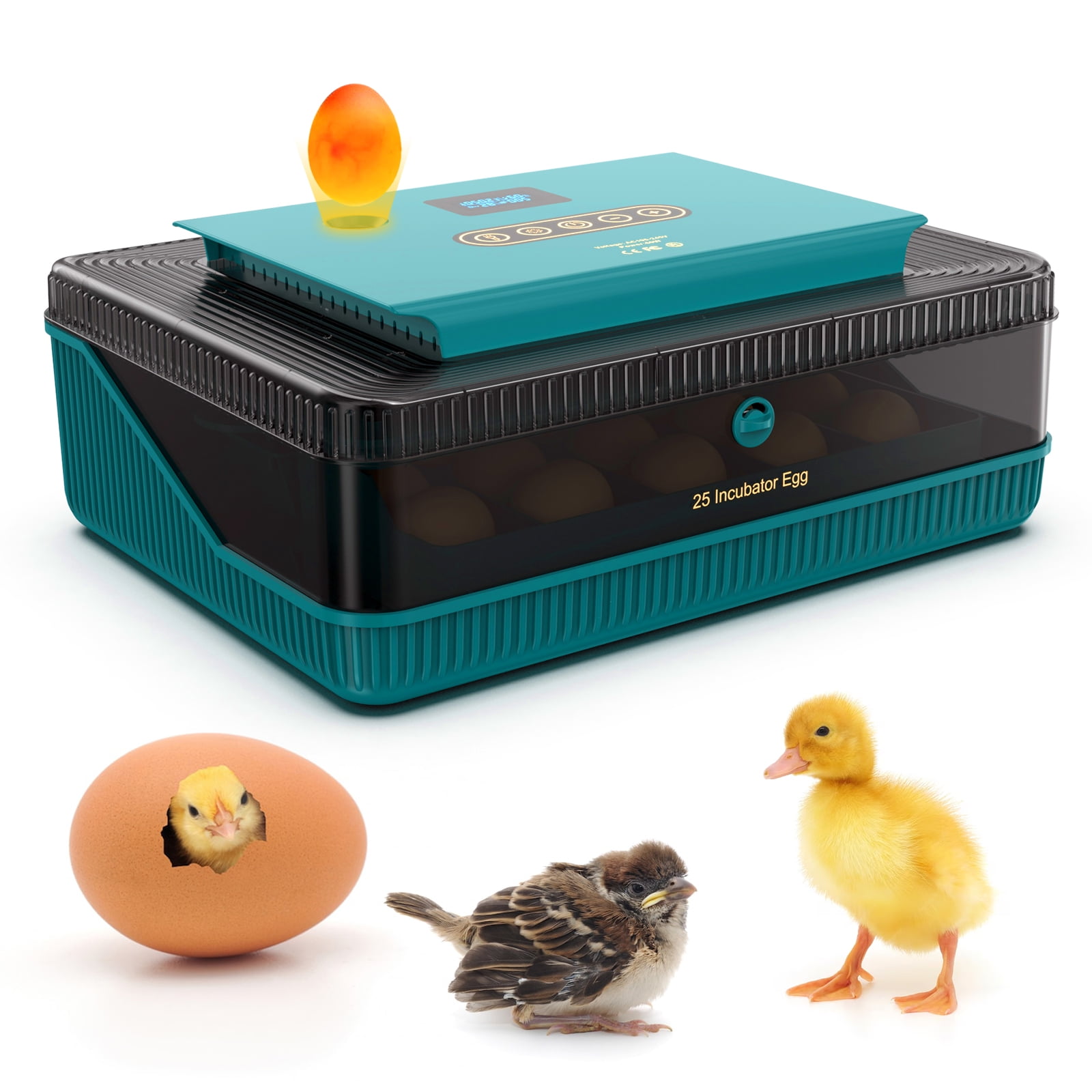 OWSOO Egg Incubator,Candler Tester Quail Temperature Chicken Duck