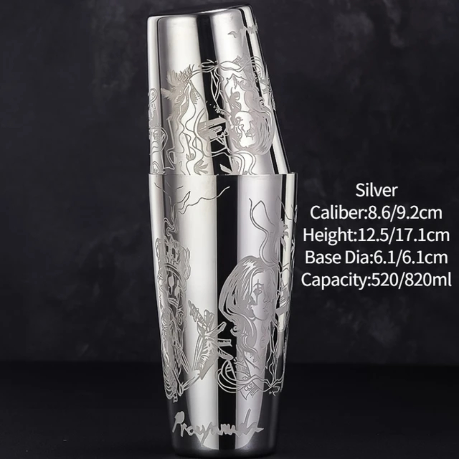 OYDWEI And Professional Bartender Kit Set with Strainer Jigger Muddler