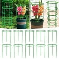 thumbnail image 1 of OYIGU Plant Support Stakes, Plant Support Cages For Climbing Plants, Tomato Cage With Standing Stakes And Stabilizing Support Ring, 1 of 8