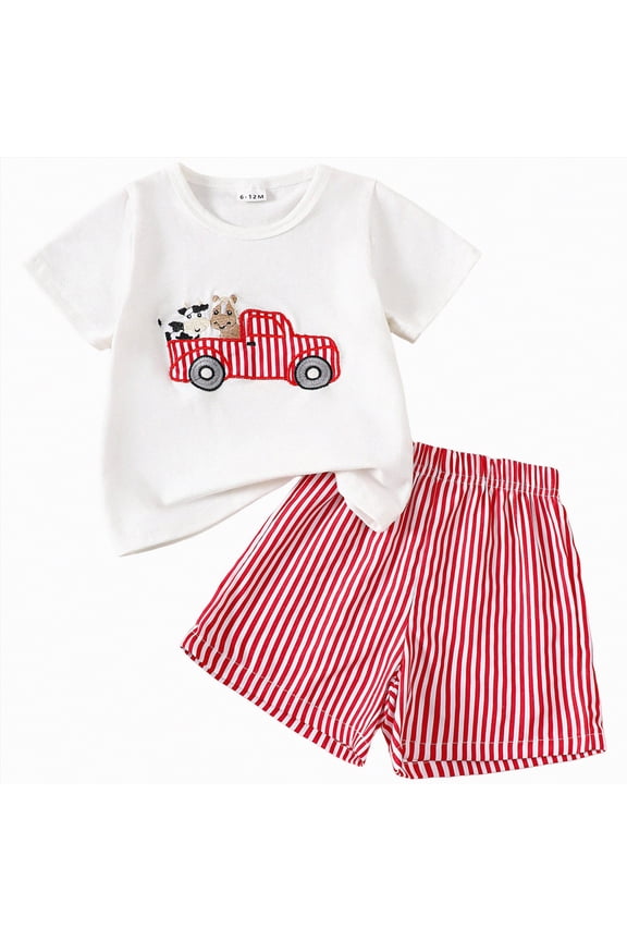 Baby Girl Summer Clothes 3T 4T Cartoon Short Sleeves Shorts Set 2pcs Shorts Outfits Set, Red 18-24M