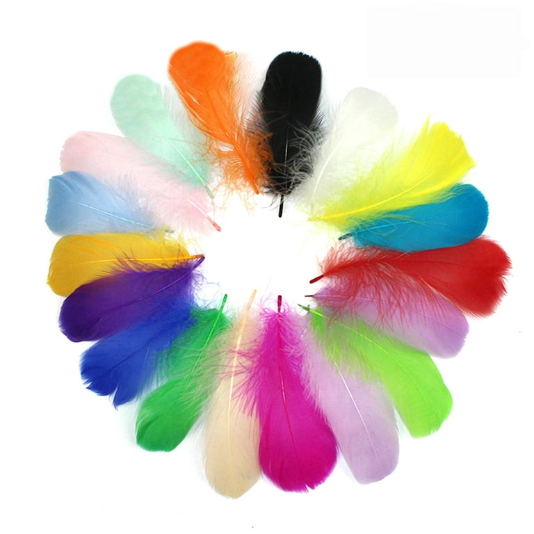 Ozs 100Pcs/300Pcs Colorful Feathers for DIY Craft Wedding Home Party Decorations, Size: One size, Black