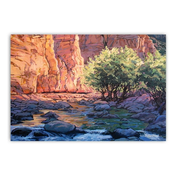 Oak Creek Canyon Postcards - 4 x 6 Sedona Red Rocks Postcards 40 Count - 17060