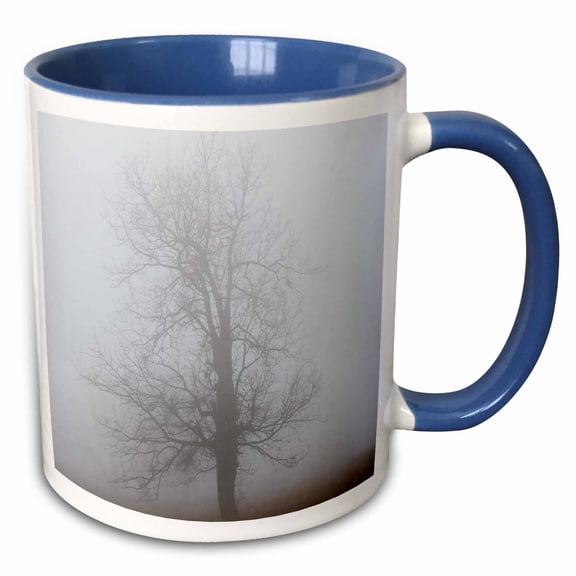 3drose, Oak Forest in Fog in Autumn, Romania., 11oz Two-tone Blue Mug