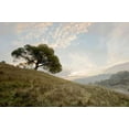 thumbnail image 1 of Oak Tree - 11 Poster Print by Alan Blaustein (24 x 36), 1 of 1