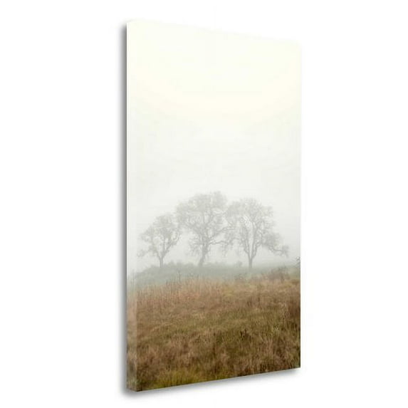 Oak Tree - 17 By Alan Blaustein, 19" x 28" Fine Art Giclee Print on Gallery Wrap Canvas, Ready to Hang