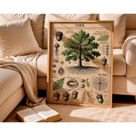 Oak Tree Anatomy Poster, Botanical Art Print, Unframed Paper Poster 8x10in