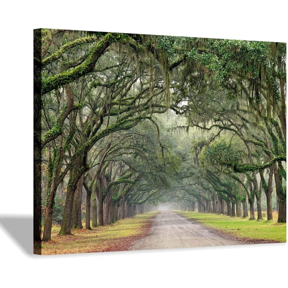 Oak Tree Canvas Wall Art: Green Landscape Artwork Forest Picture Painting Small Size for Bathroom (16'''' x 12'''' x 1 Panel)
