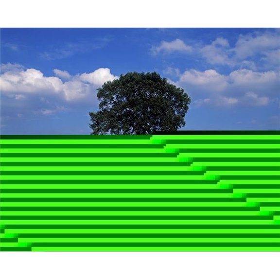 Oak Tree in a Barley Field Ireland Poster Print by The Irish Image Collection, 15 x 12