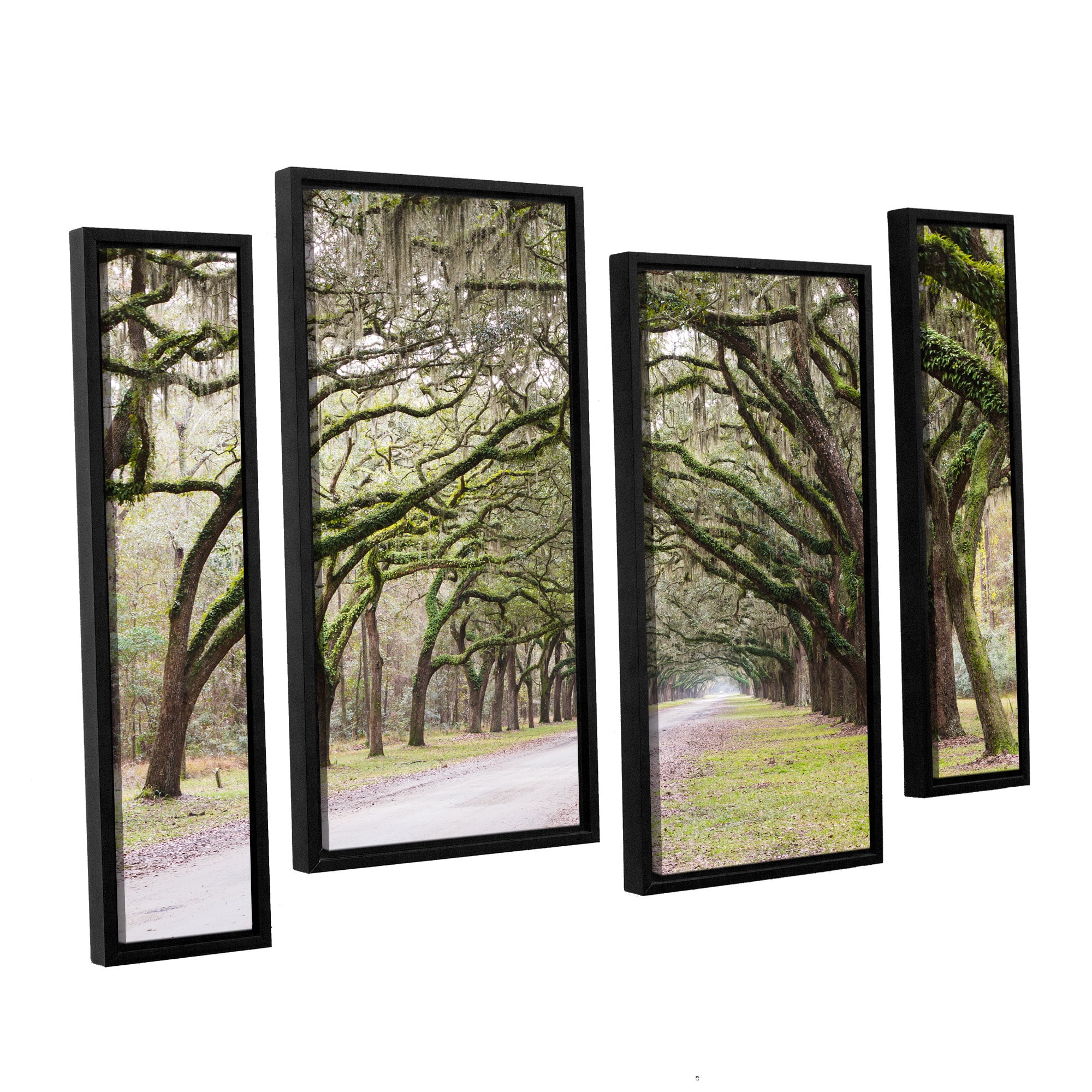 Oak Trees With Spanish Moss In Savanna Georgia2