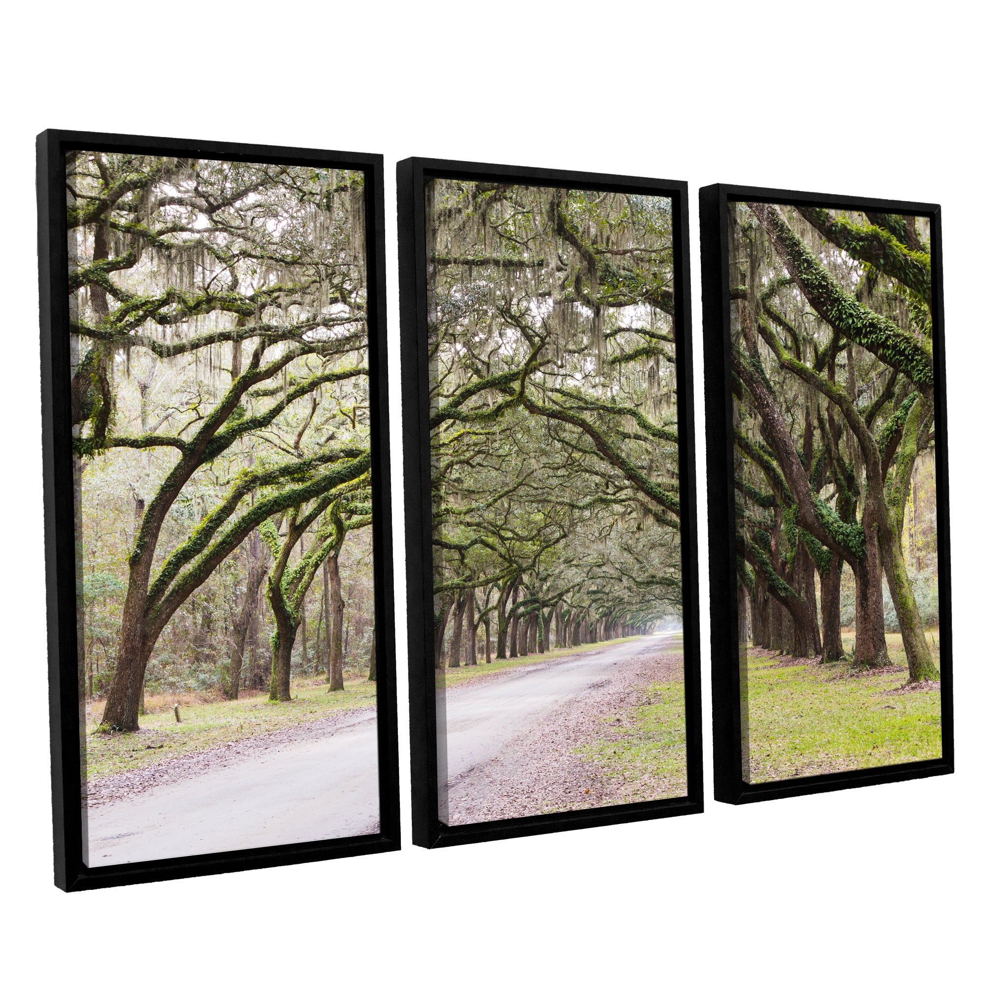 Oak Trees With Spanish Moss In Savanna Georgia2