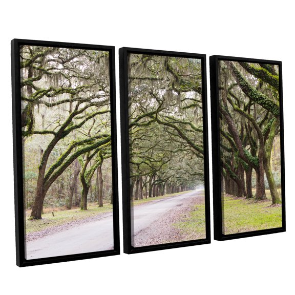 Oak Trees With Spanish Moss In Savanna Georgia2
