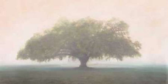 Oak in the Fog Canvas Art - William Guion (10 x 20)