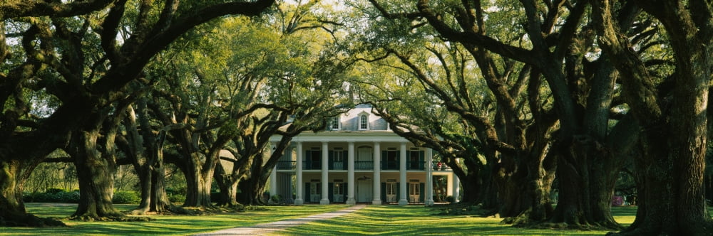 Oak trees in front of a mansion Oak Alley Plantation Vacherie Louisiana USA Canvas Art - Panoramic Images (27 x 9)