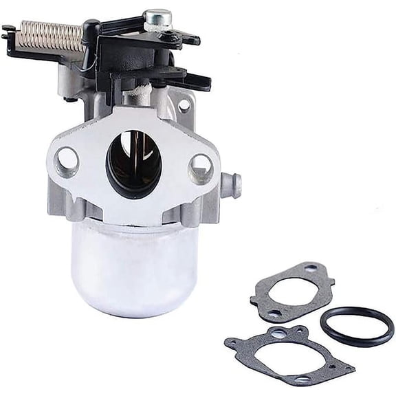 OakTen Replacement Carburetor for Compatible with BS 796608