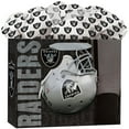 thumbnail image 1 of Oakland Raiders Medium Go Go Gift Bag - No Size, 1 of 1