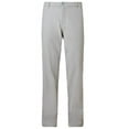 thumbnail image 1 of Oakley Golf Take Pro 3.0 Pants Stone Gray 34/34, 1 of 2