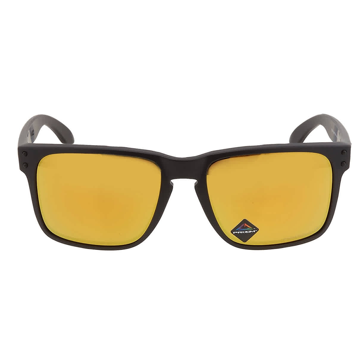 Oakley Holbrook XL Prizm Polarized S3 (VLT 14%) - Sunglasses, Free EU  Delivery