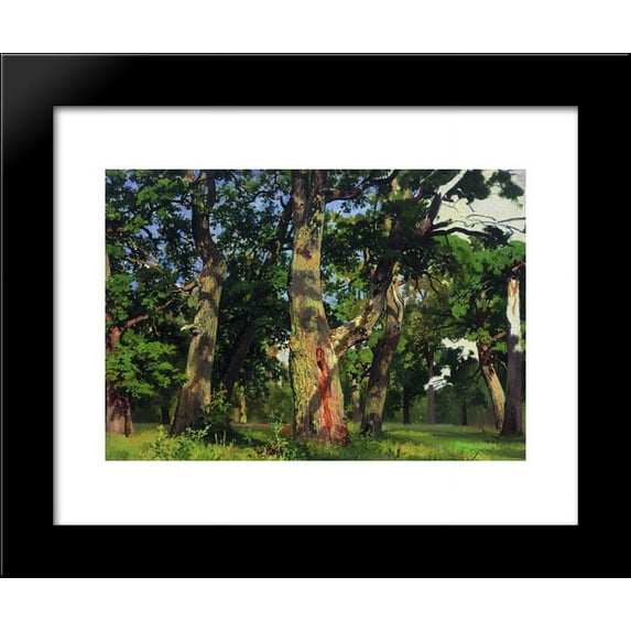 Oaks. Evening 20x24 Framed Art Print by Ivan Shishkin
