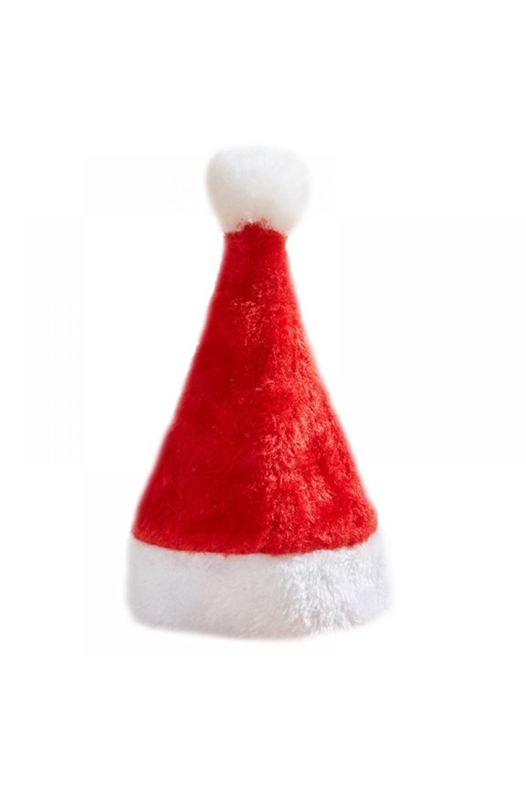 3D Christmas Santa Hat for Dogs Cats