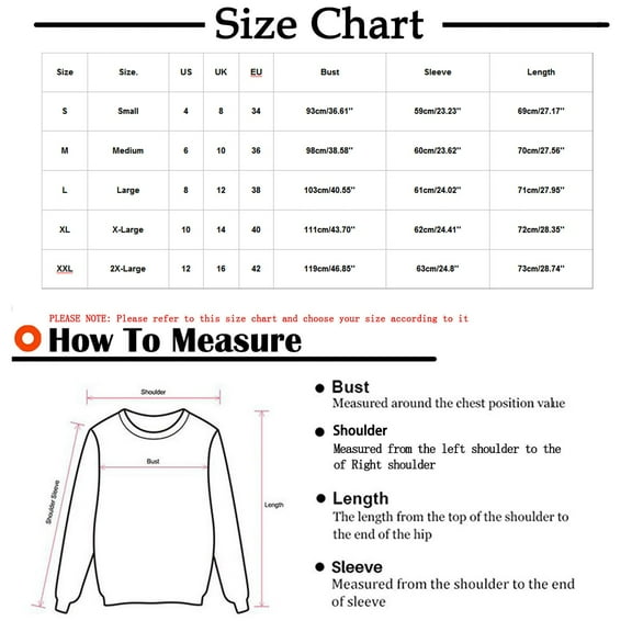 Oalirro Long Sleeve Top for Women Crewneck Basic Lightweight Fall Shirt Winter Fashion Tunic Blouse