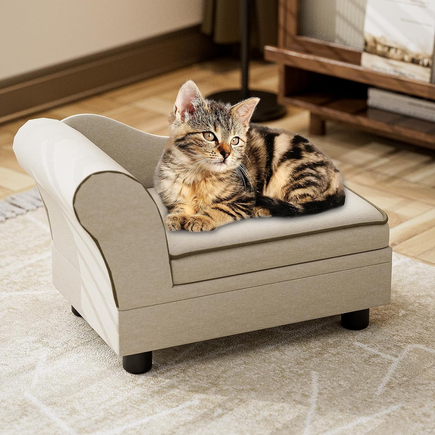 Cats and sofas 2025