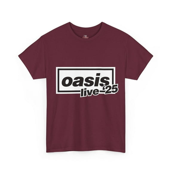 Oasis Band Tour T-Shirt 2025, Vintage Band Music Shirt ,Maroon Color,Size L
