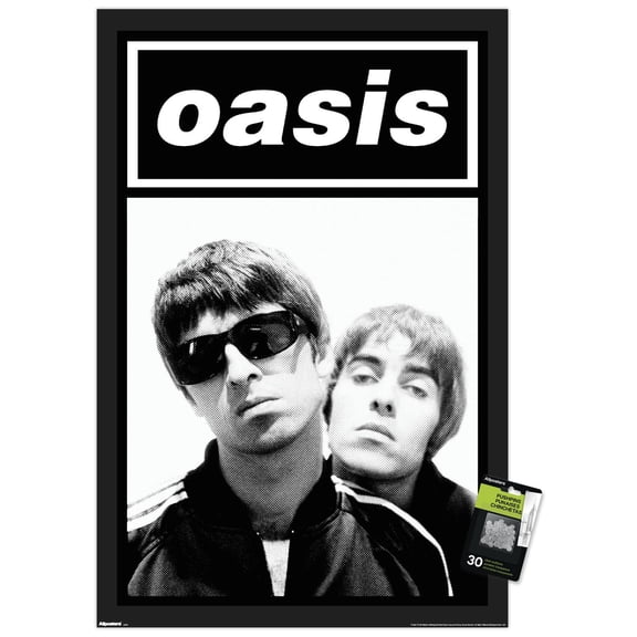 Oasis - Black and White Wall Poster with Push Pins, 22.375" x 34"