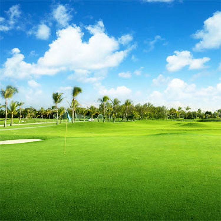 Outsidepride Oasis Bermuda Grass Seed - 25 lbs Warm Season, High Traffic, Heat Resistant, Drought-Tolerant, Low-Maintenance, Fast Growing Turf Grass for Lawn, Ideal for Sunny Areas, Thick Coverage