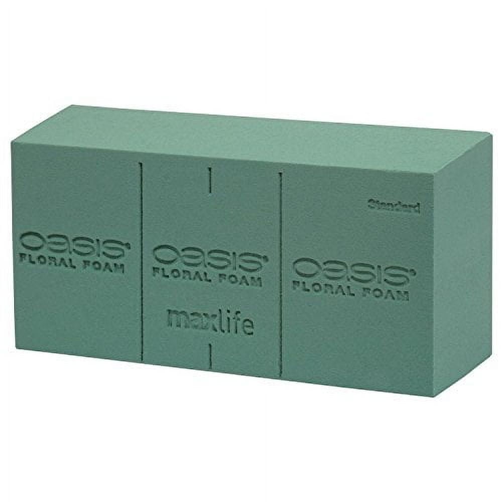 Floraページ Buy Wholesale OASIS Standard Floral Foam Bricks in Bulk