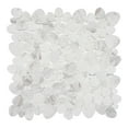 thumbnail image 1 of Oasis Halo Gray Pebble Stone Look Natural Stone Mosaic Wall and Floor Tile, 1 of 8