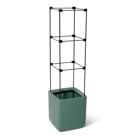 Gardener's Supply Company Oasis Self-Watering Tomato Vegetable Planter with Trellis