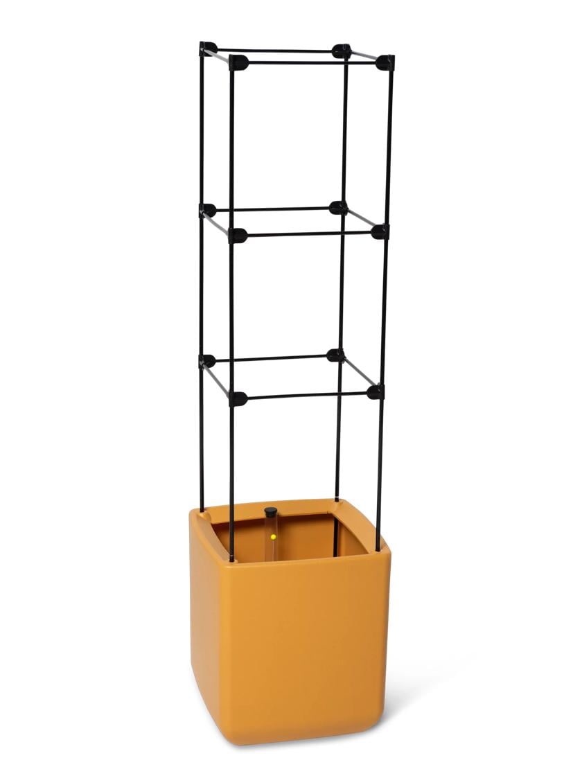 Oasis SelfWatering Tomato Planter With Trellis