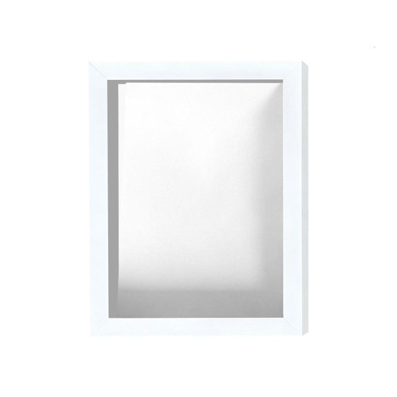 Oasiva Contemporary Art Display Case For Home Use And Valuable Collectibles Storage