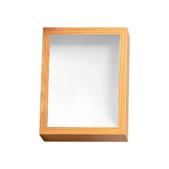 Oasiva Contemporary Art Display Case For Home Use And Valuable Collectibles Storage