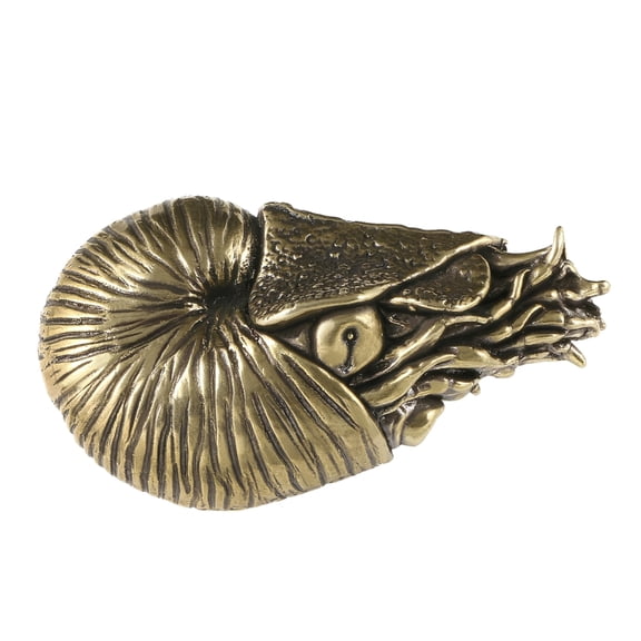 Oasiva Metal Naurilus Statue Figurine Naurilus Sculpture Decorative Object Home Decors