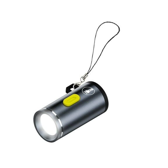 Oasiva Mini Type C Powered LED Torches Small LED Light With Switching Perfect For Camping Cycling And Power Outages 210Lumens
