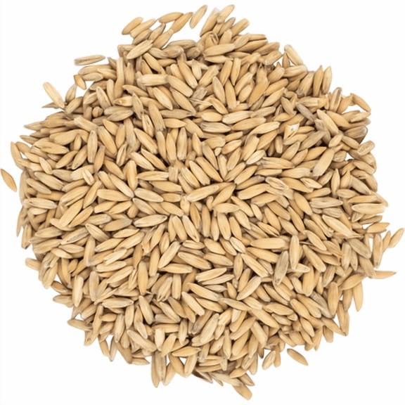 Oat Malt 4L for Brewing  Malted Oats for Beer Making, Home Brewing & Specialty Grain Recipes  1 lb - CRUSHED (Pre-Milled)
