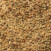 Oat and Peas Cover Crop Mix Seed 4 Oz ~1,740 Seeds – Non-GMO, Annual, Nitrogen-Fixing, Winter-Kill, Forage-Friendly, No-Till Soil Builder – Spring, Summer, or Fall Planting – 50-70 Days