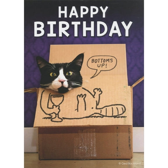 Oatmeal Studios Bottoms Up: Black and White Cat in Cardboard Box Funny Birthday Card