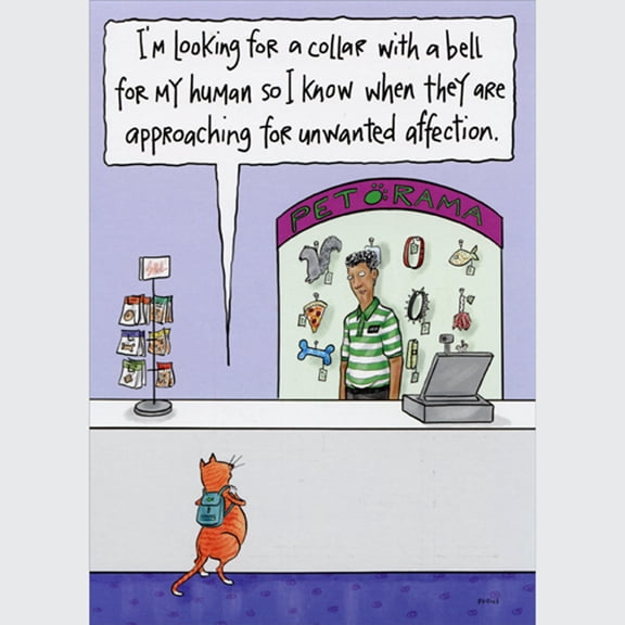 Oatmeal Studios Cat Shopping for Collar with Bell Funny / Humorous Birthday Card