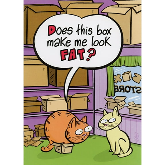 Oatmeal Studios Cat Sitting in Small Box: Does This Box Make Me Look Fat Funny / Humorous Birthday Card