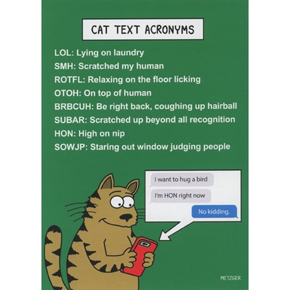 Oatmeal Studios Cat Text Acronyms Funny Birthday Card