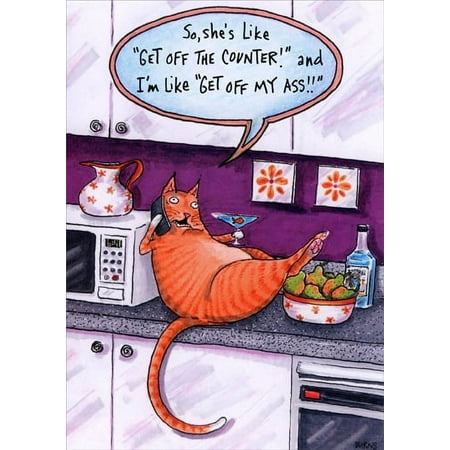 Oatmeal Studios Cat on Counter Funny / Humorous Birthday Card
