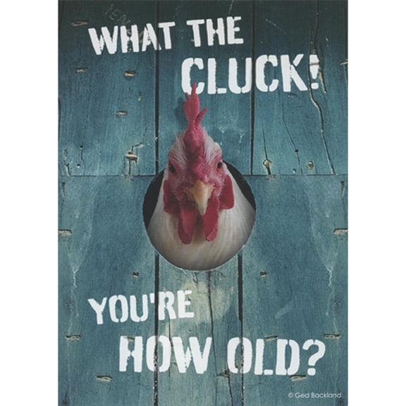 Oatmeal Studios Chicken Sticking Head Through Hole: What the Cluck Funny Birthday Card