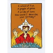 Oatmeal Studios Describe Your Birthday Funny / Humorous Birthday Card