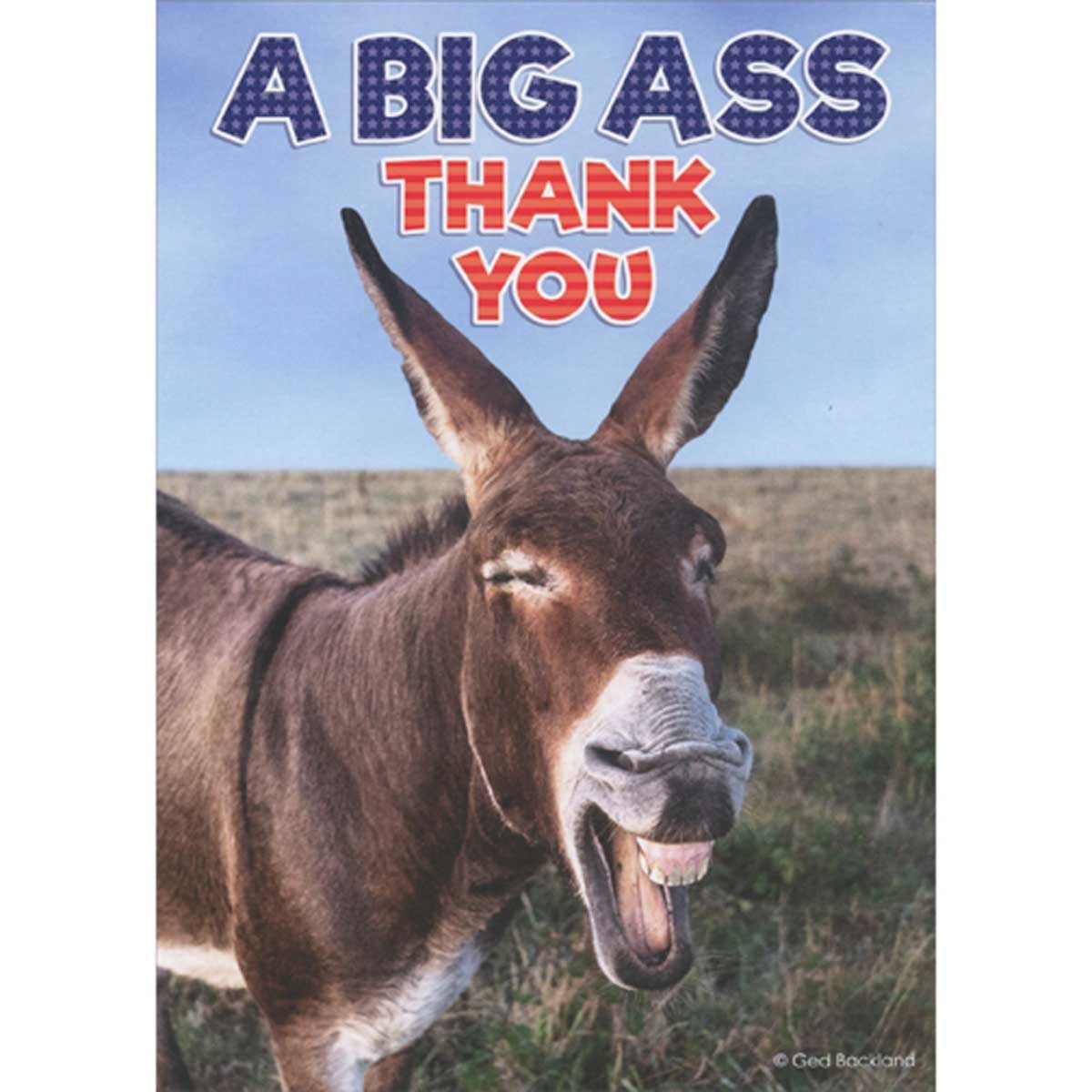 Oatmeal Studios Laughing Donkey Big Ass Thank You Funny / Humorous