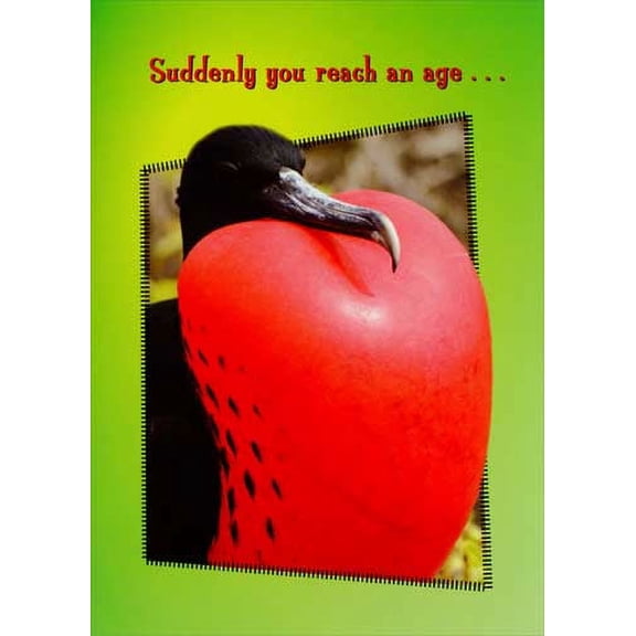 Oatmeal Studios Red Chested Bird Funny / Humorous Birthday Card