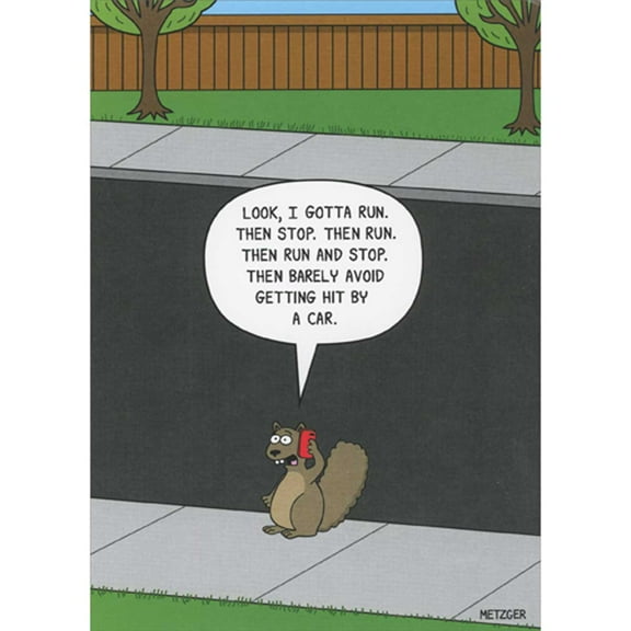 Oatmeal Studios Squirrel on Phone Before Crossing the Street Funny / Humorous Birthday Card