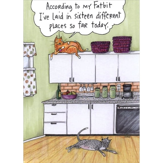 Oatmeal Studios Two Cats in Kitchen Funny / Humorous Birthday Card